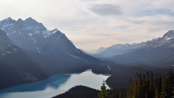 Overlooking a lake on a mountain-side